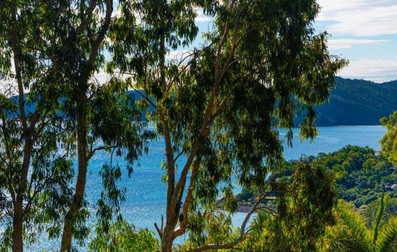 Sunset Waters Apartments Hamilton Island Luaran gambar